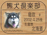 �����̂���̂g�o�ւf�n�I